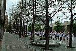 Day 2 - Walking meditation of 36