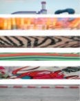 Weihong Golden Horse Diary selection 1